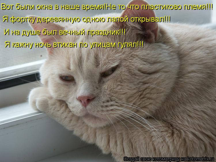 Вот были окна в наше время!Не то что пластиково племя!!! Я фортку деревянную одною лапой открывал!!! ... Котоматрица: Вот были окна в наше время!Не то что пластиково племя!!! Я фортку деревянную одною лапой открывал!!! И на душе был вечный праздник!!! Я кажну но