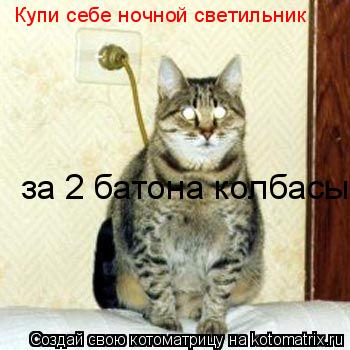 Купи себе ночной светильник за 2 батона колбасы... Котоматрица: Купи себе ночной светильник за 2 батона колбасы