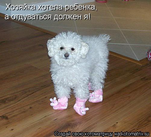 Хозяйка хотела ребенка, а отдуваться должен я!... Котоматрица: Хозяйка хотела ребенка, а отдуваться должен я!