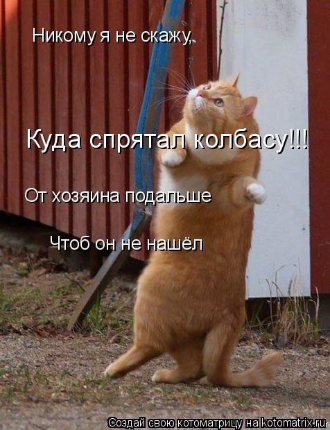 Никому я не скажу, Куда спрятал колбасу!!! От хозяина подальше Чтоб он не нашёл... Котоматрица: Никому я не скажу, Куда спрятал колбасу!!! От хозяина подальше Чтоб он не нашёл