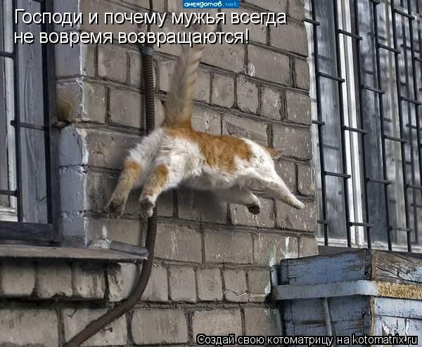 Господи и почему мужья всегда не вовремя возвращаются!... Котоматрица: Господи и почему мужья всегда не вовремя возвращаются!