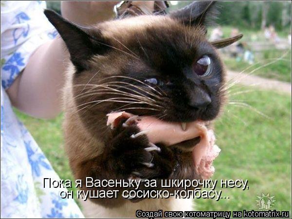 Пока я Васеньку за шкирочку несу, он кушает сосиско-колбасу...... Котоматрица: Пока я Васеньку за шкирочку несу, он кушает сосиско-колбасу...