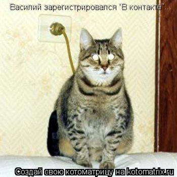 Василий зарегистрировался "В контакте"...... Котоматрица: Василий зарегистрировался "В контакте"...