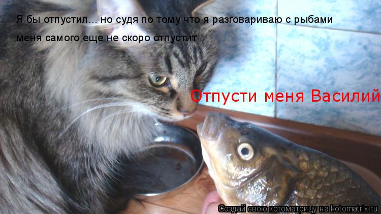 Отпусти меня Василий Я бы отпустил... но судя по тому что я разговариваю с рыбами меня самого еще не ... Котоматрица: Отпусти меня Василий Я бы отпустил... но судя по тому что я разговариваю с рыбами меня самого еще не скоро отпустит