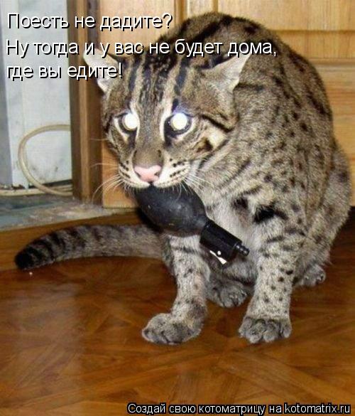 Поесть не дадите? Ну тогда и у вас не будет дома, где вы едите!... Котоматрица: Поесть не дадите? Ну тогда и у вас не будет дома, где вы едите!