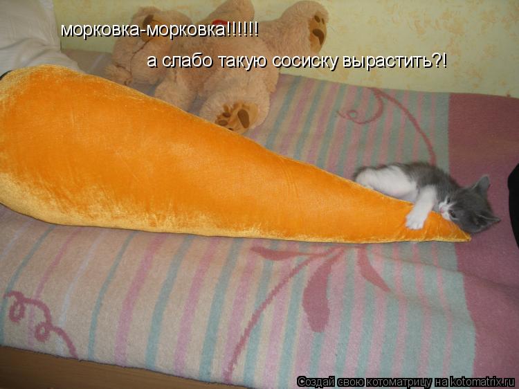морковка-морковка!!!!!! а слабо такую сосиску вырастить?!... Котоматрица: морковка-морковка!!!!!! а слабо такую сосиску вырастить?!