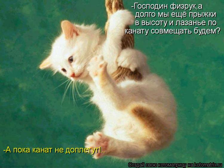 Котоматрица: -Господин физрук,а долго мы ещё прыжки в высоту и лазанье по канату совмещать будем? -А пока канат не доплетут!..