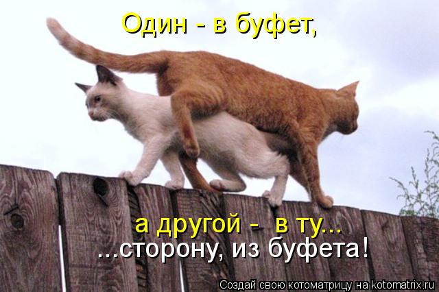 Один - в буфет, а другой - в ту... ...сторону, из буфета!... Котоматрица: Один - в буфет, а другой - в ту... ...сторону, из буфета!