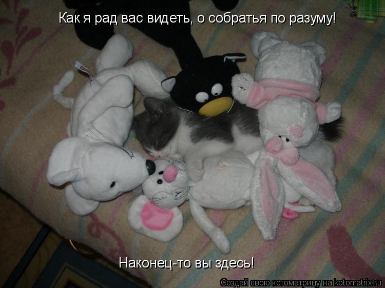 Котоматрица: Как я рад вас видеть, о собратья по разуму! Наконец-то вы здесь!