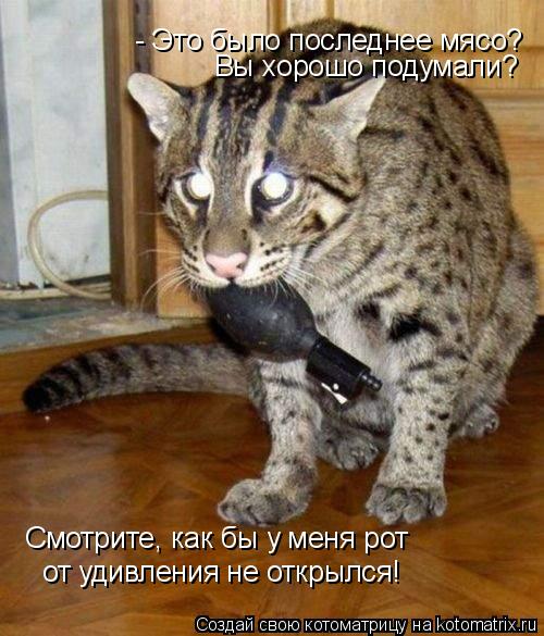 Котоматрица: - Это было последнее мясо? Вы хорошо подумали? Смотрите, как бы у меня рот от удивления не открылся!