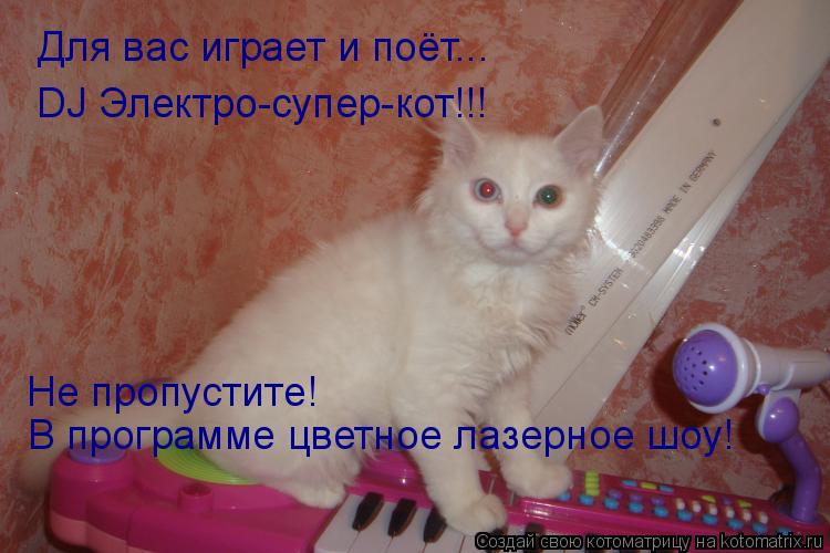 Котоматрица: Для вас играет и поёт... DJ Электро-супер-кот!!! В программе цветное лазерное шоу! Не пропустите!