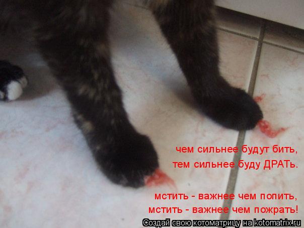 чем сильнее будут бить, тем сильнее буду ДРАТь. мстить - важнее чем попить, мстить - важнее чем пожра... Котоматрица: чем сильнее будут бить, тем сильнее буду ДРАТь. мстить - важнее чем попить, мстить - важнее чем пожрать!