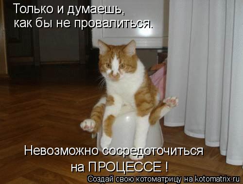 Только и думаешь, как бы не провалиться. Невозможно сосредоточиться на ПРОЦЕССЕ !... Котоматрица: Только и думаешь, как бы не провалиться. Невозможно сосредоточиться на ПРОЦЕССЕ !