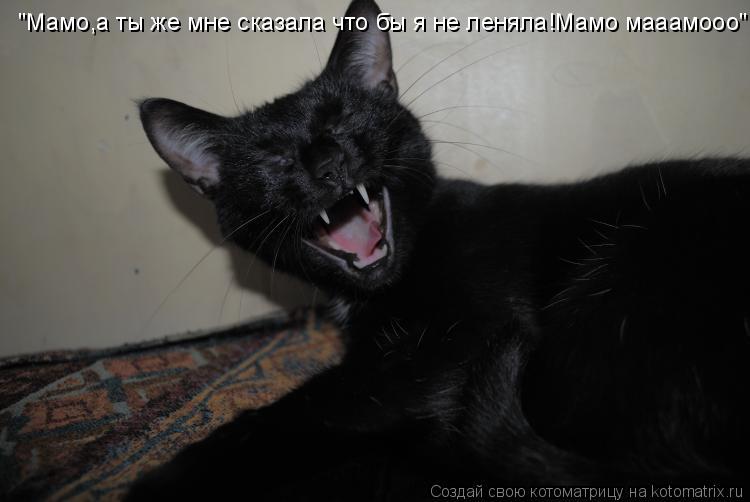 "Мамо,а ты же мне сказала что бы я не леняла!Мамо мааамооо"... Котоматрица: "Мамо,а ты же мне сказала что бы я не леняла!Мамо мааамооо"