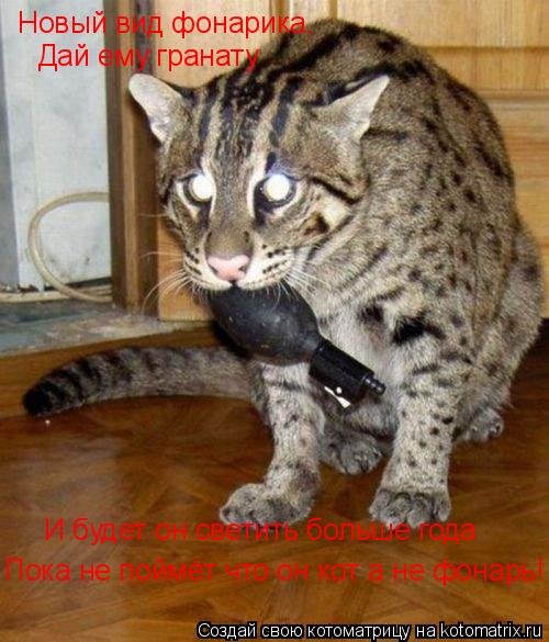 Новый вид фонарика, Дай ему гранату И будет он светить больше года Пока не поймёт что он кот а не фо... Котоматрица: Новый вид фонарика, Дай ему гранату И будет он светить больше года Пока не поймёт что он кот а не фонарь!