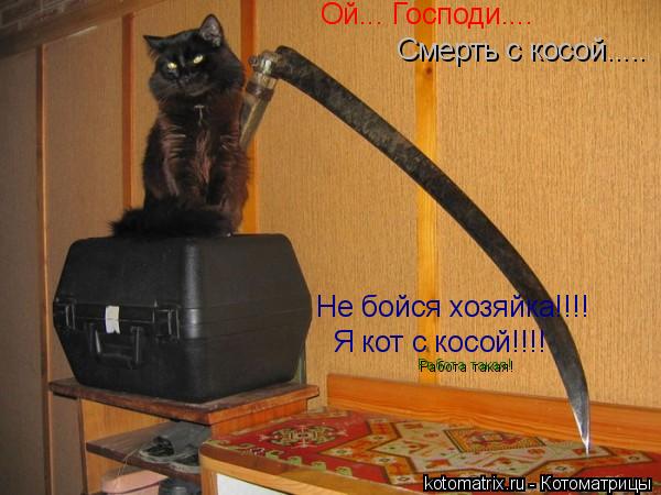 Ой... Господи.... Смерть с косой..... Не бойся хозяйка!!!! Я кот с косой!!!! Работа такая!... Котоматрица: Ой... Господи.... Смерть с косой..... Не бойся хозяйка!!!! Я кот с косой!!!! Работа такая!
