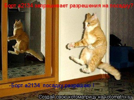 Борт а2134 запрашивает разрешения на посадку? -Борт а2134 посадку разрешаю !... Котоматрица: Борт а2134 запрашивает разрешения на посадку? -Борт а2134 посадку разрешаю !