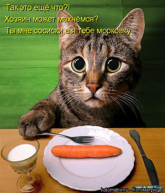Так это ещё что?! Хозяин может махнёмся? Ты мне сосиски,а я тебе морковку... Котоматрица: Так это ещё что?! Хозяин может махнёмся? Ты мне сосиски,а я тебе морковку