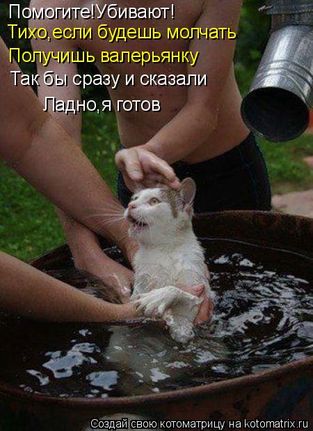 Помогите!Убивают! Тихо,если будешь молчать Получишь валерьянку Так бы сразу и сказали Ладно,я готов... Котоматрица: Помогите!Убивают! Тихо,если будешь молчать Получишь валерьянку Так бы сразу и сказали Ладно,я готов