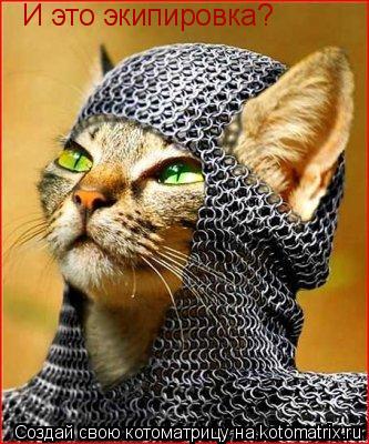 И это экипировка?... Котоматрица: И это экипировка?