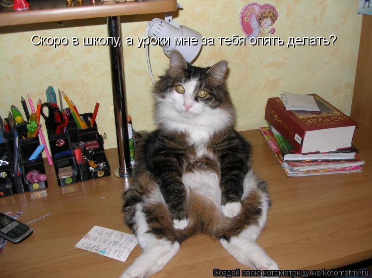 Скоро в школу, а уроки мне за тебя опять делать?... Котоматрица: Скоро в школу, а уроки мне за тебя опять делать?