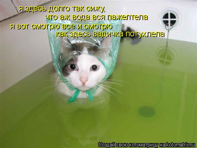 я здесь долго так сижу, что аж вода вся пажелтела я вот смотрю всё и смотрю как здесь вадичка потухле... Котоматрица: я здесь долго так сижу, что аж вода вся пажелтела я вот смотрю всё и смотрю как здесь вадичка потухлела