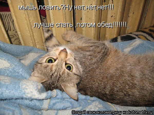мышь ловить?Ну нет,нет,нет!!! лучше спать ,потом обед!!!!!!!... Котоматрица: мышь ловить?Ну нет,нет,нет!!! лучше спать ,потом обед!!!!!!!