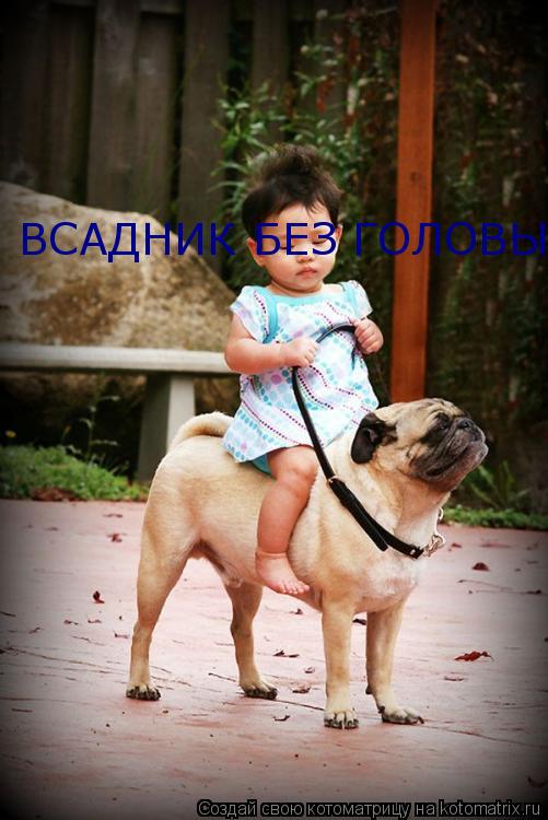 ВСАДНИК БЕЗ ГОЛОВЫ... Котоматрица: ВСАДНИК БЕЗ ГОЛОВЫ
