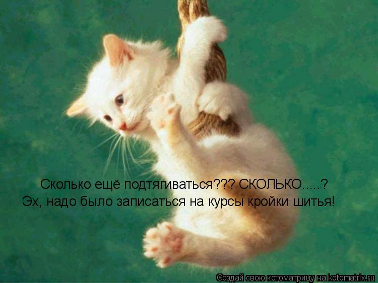 Сколько ещё подтягиваться??? СКОЛЬКО.....? Эх, надо было записаться на курсы кройки шитья!... Котоматрица: Сколько ещё подтягиваться??? СКОЛЬКО.....? Эх, надо было записаться на курсы кройки шитья!