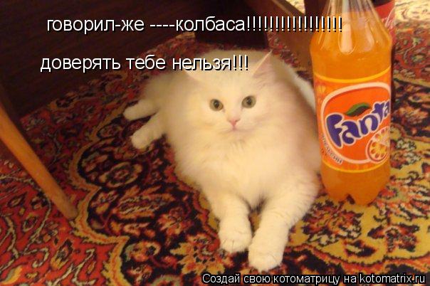 говорил-же ----колбаса!!!!!!!!!!!!!!!!! доверять тебе нельзя!!!... Котоматрица: говорил-же ----колбаса!!!!!!!!!!!!!!!!! доверять тебе нельзя!!!