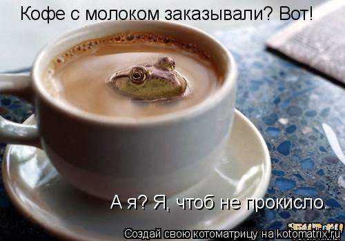 Кофе с молоком заказывали? Вот! А я? Я, чтоб не прокисло.... Котоматрица: Кофе с молоком заказывали? Вот! А я? Я, чтоб не прокисло.