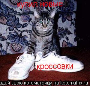 купил новые кроссовки... Котоматрица: купил новые кроссовки