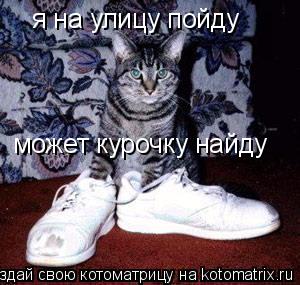я на улицу пойду может курочку найду... Котоматрица: я на улицу пойду может курочку найду