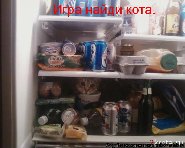 Игра найди кота.... Котоматрица: Игра найди кота.