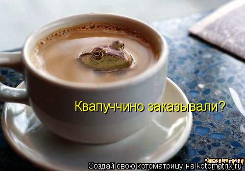 Квапуччино заказывали?... Котоматрица: Квапуччино заказывали?