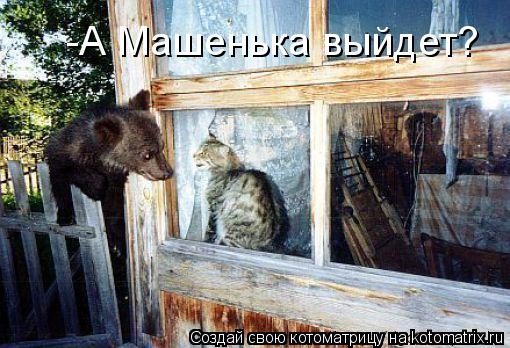 -А Машенька выйдет?... Котоматрица: -А Машенька выйдет?