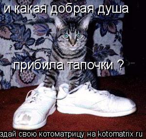 и какая добрая душа прибила тапочки ?... Котоматрица: и какая добрая душа прибила тапочки ?