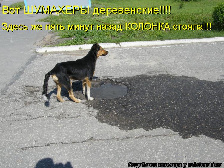 Вот ШУМАХЕРЫ деревенские!!!! Здесь же пять минут назад КОЛОНКА стояла!!!... Котоматрица: Вот ШУМАХЕРЫ деревенские!!!! Здесь же пять минут назад КОЛОНКА стояла!!!