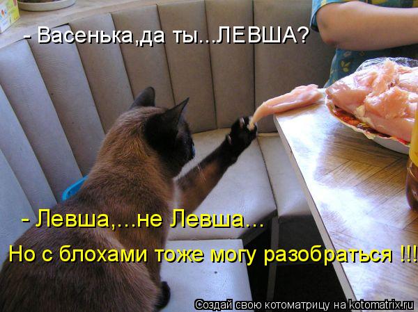 - Васенька,да ты...ЛЕВША? - Левша,...не Левша... Но с блохами тоже могу разобраться !!!... Котоматрица: - Васенька,да ты...ЛЕВША? - Левша,...не Левша... Но с блохами тоже могу разобраться !!!