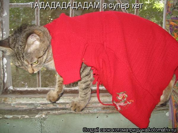 ТАДАДАДАДАДАМ я супер кет... Котоматрица: ТАДАДАДАДАДАМ я супер кет