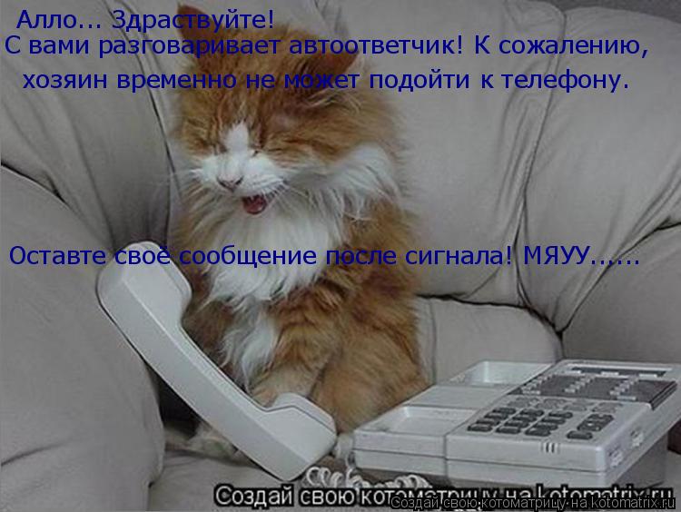 Алло... Здраствуйте! С вами разговаривает автоответчик! К сожалению, хозяин временно не может подойти... Котоматрица: Алло... Здраствуйте! С вами разговаривает автоответчик! К сожалению, хозяин временно не может подойти к телефону. Оставте своё сообщение по