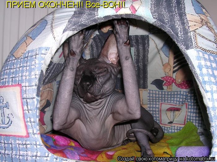 ПРИЕМ ОКОНЧЕН!! Все-ВОН!!... Котоматрица: ПРИЕМ ОКОНЧЕН!! Все-ВОН!!