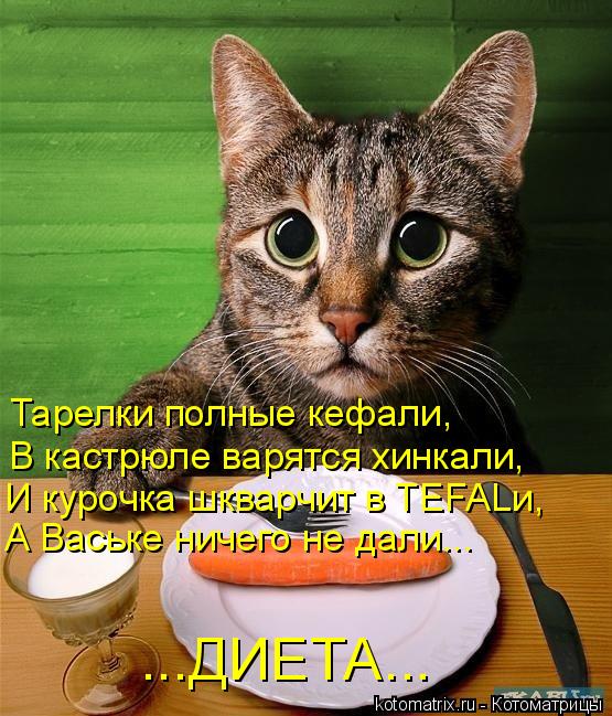 Тарелки полные кефали, В кастрюле варятся хинкали, И курочка шкварчит в TEFALи, А Ваське ничего не да... Котоматрица: Тарелки полные кефали, В кастрюле варятся хинкали, И курочка шкварчит в TEFALи, А Ваське ничего не дали... ...ДИЕТА...
