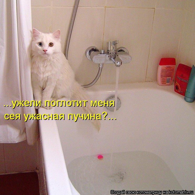 сея ужасная пучина?... ...ужели поглотит меня... Котоматрица: сея ужасная пучина?... ...ужели поглотит меня