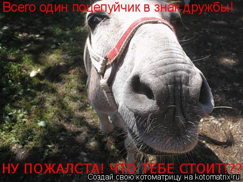 Всего один поцелуйчик в знак дружбы! НУ ПОЖАЛСТА! ЧТО ТЕБЕ СТОИТ!??... Котоматрица: Всего один поцелуйчик в знак дружбы! НУ ПОЖАЛСТА! ЧТО ТЕБЕ СТОИТ!??