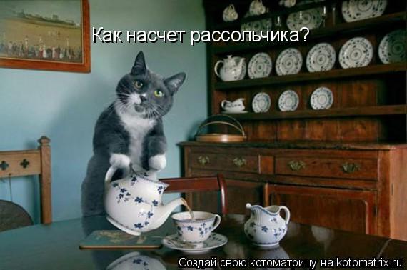 Как насчет рассольчика?... Котоматрица: Как насчет рассольчика?