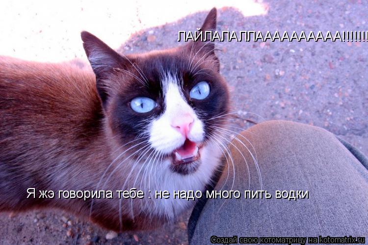 ЛАЙЛАЛАЛЛАААААААААА!!!!!!! Я жэ говорила тебе : не надо много пить водки... Котоматрица: ЛАЙЛАЛАЛЛАААААААААА!!!!!!! Я жэ говорила тебе : не надо много пить водки