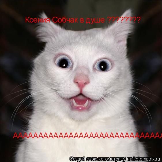 Ксения Собчак в душе ???????? ААААААААААААААААААААААААААААААААА!!!!!!!!!!!!!!!!!!!!!!!!!!!!!!!!!!!... Котоматрица: Ксения Собчак в душе ???????? ААААААААААААААААААААААААААААААААА!!!!!!!!!!!!!!!!!!!!!!!!!!!!!!!!!!!
