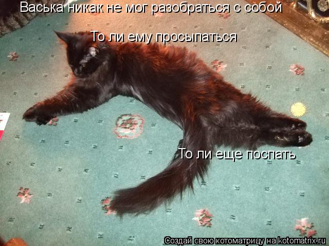 Васька никак не мог разобраться с собой То ли ему просыпаться То ли еще поспать... Котоматрица: Васька никак не мог разобраться с собой То ли ему просыпаться То ли еще поспать