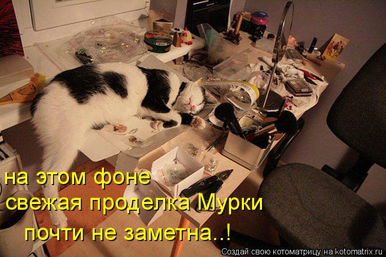на этом фоне свежая проделка Мурки почти не заметна..!... Котоматрица: на этом фоне свежая проделка Мурки почти не заметна..!